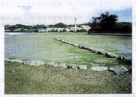 fig_3-3(4)-2.jpg (51396 バイト)