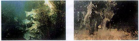 fig_3-6(3)-2.jpg (26704 バイト)