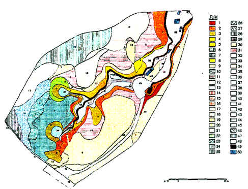 fig6_02-1.jpg (205484 バイト)