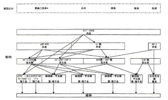 fig_1-2-091.jpg (48586 バイト)
