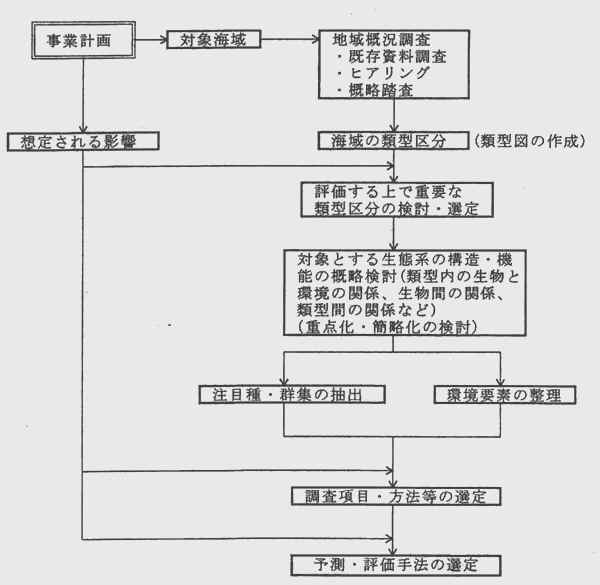図－２　海域生態系に関するスコーピングにおける作業の流れ