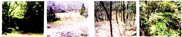 fig_1-4-09-2.jpg (42445 バイト)