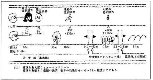 fig_ss_05-2.jpg (50463 バイト)