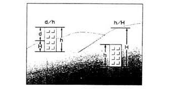 fig_ss_09.jpg (12951 バイト)