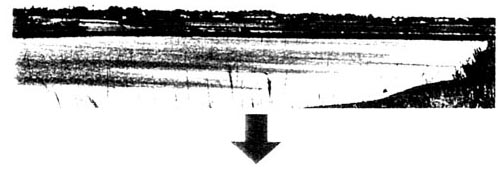 fig_ss_10.jpg (20892 バイト)